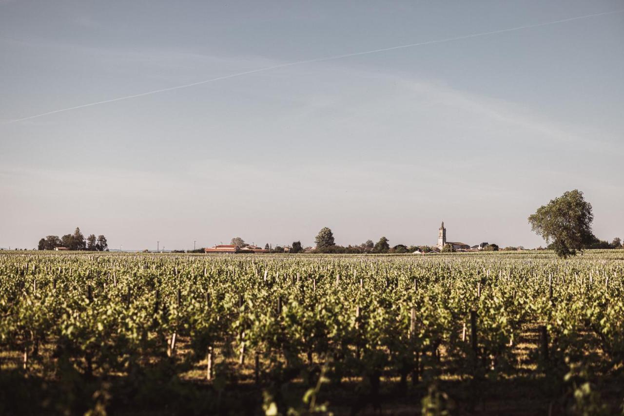 Chateau Laffitte Carcasset Bed & Breakfast Saint-Estephe  Exterior photo